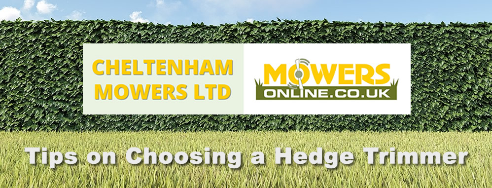 tips_on_choosing_a_hedge_trimmer