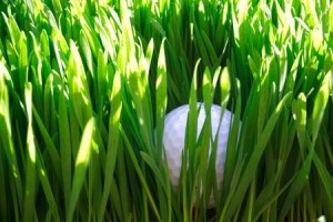 golf-ball-300x200-1