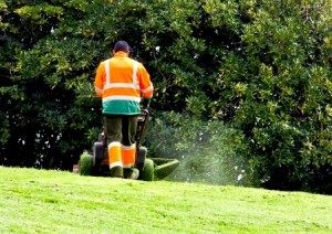 mowing-in-park-300x212-1