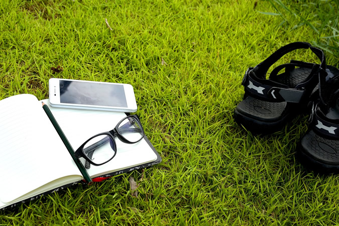 reading-grass